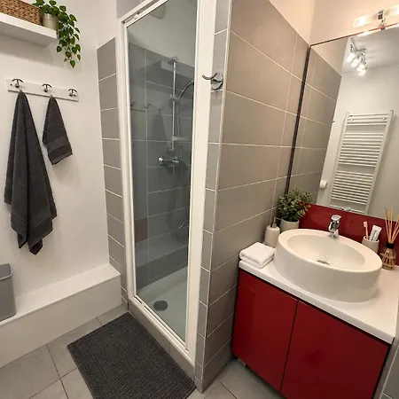Apartment Magnifique 5 Min Aeroport Blagnac